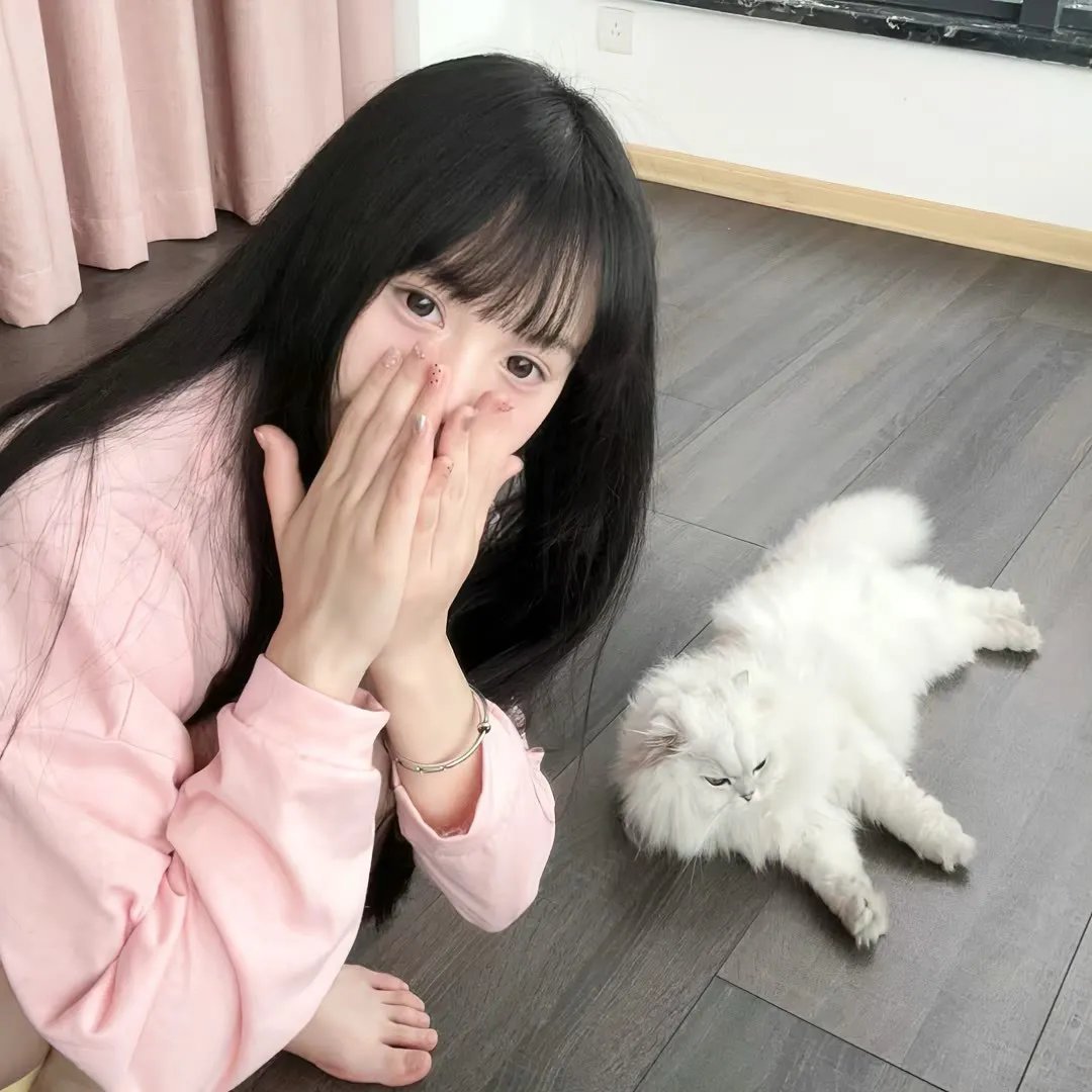 尸踪