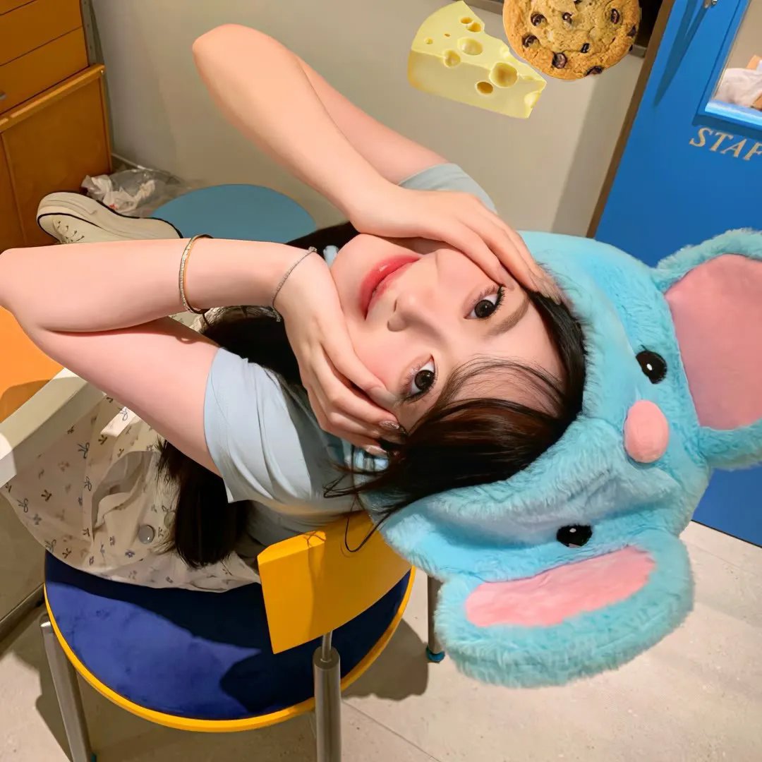 情谜郁金香